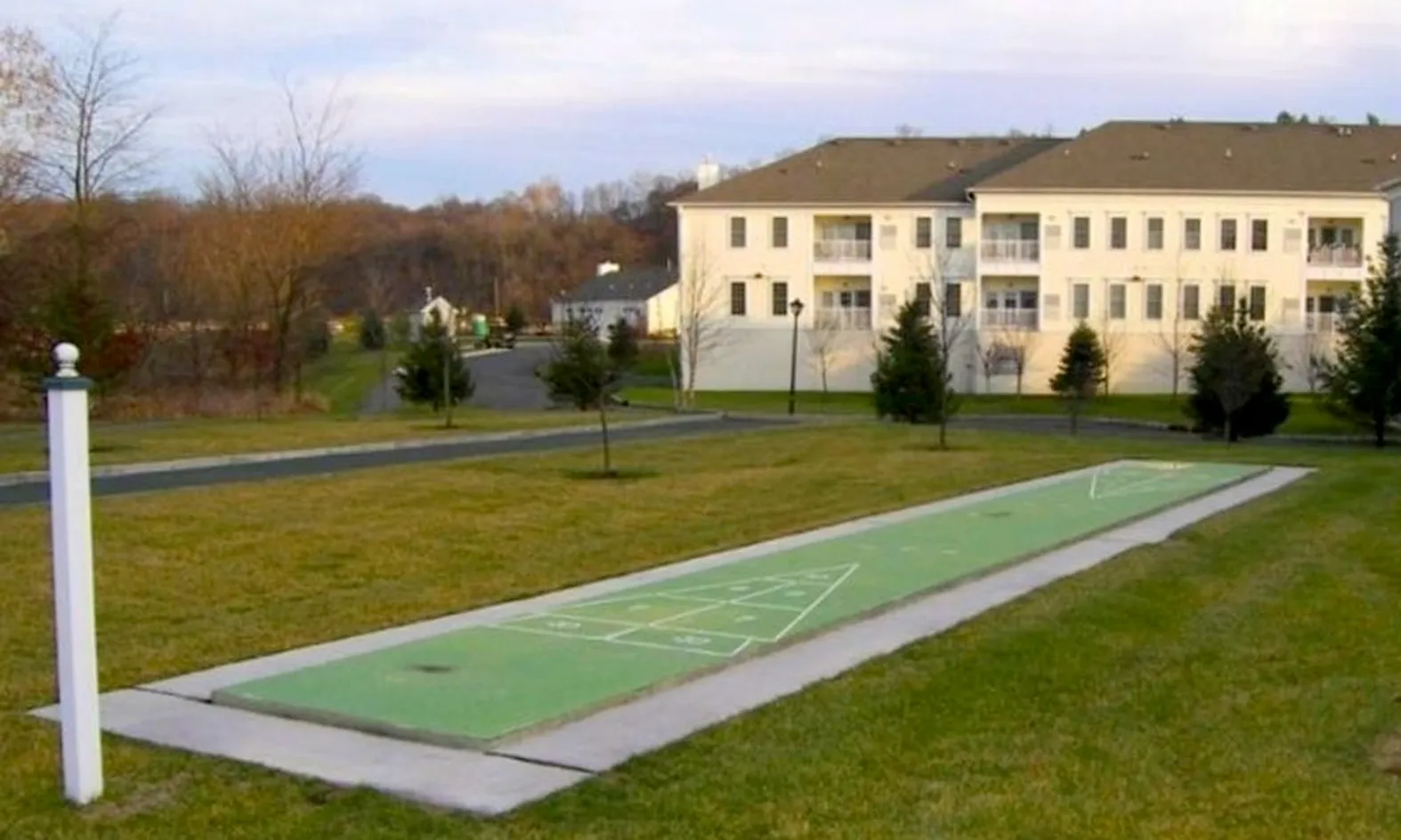 Shuffleboard Court
