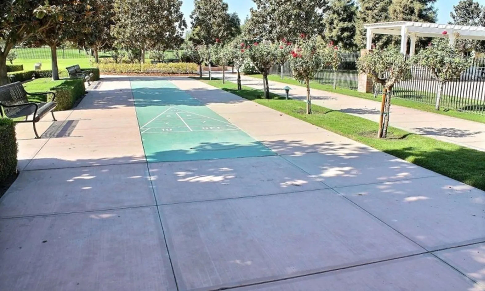 Shuffleboard Court