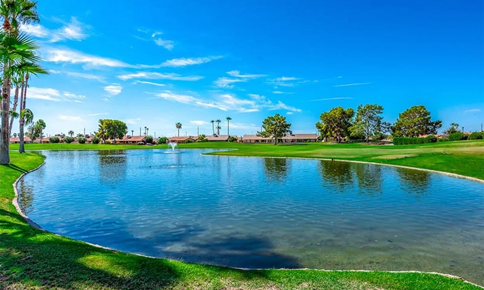 Scenic Ponds