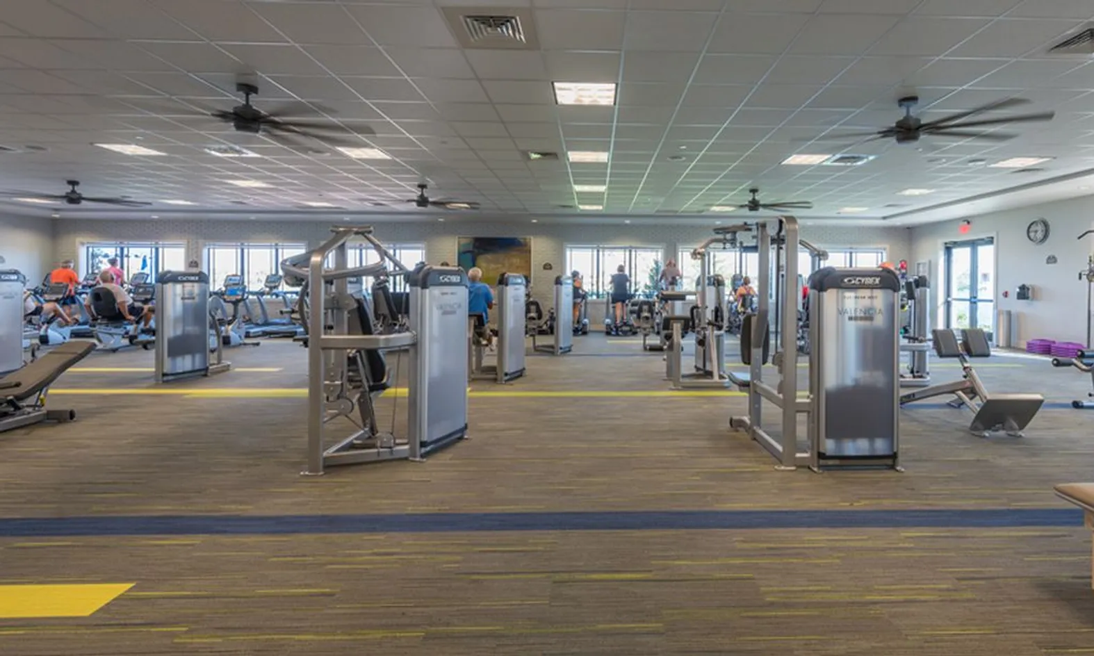State-of-the-Art Exercise Equipment