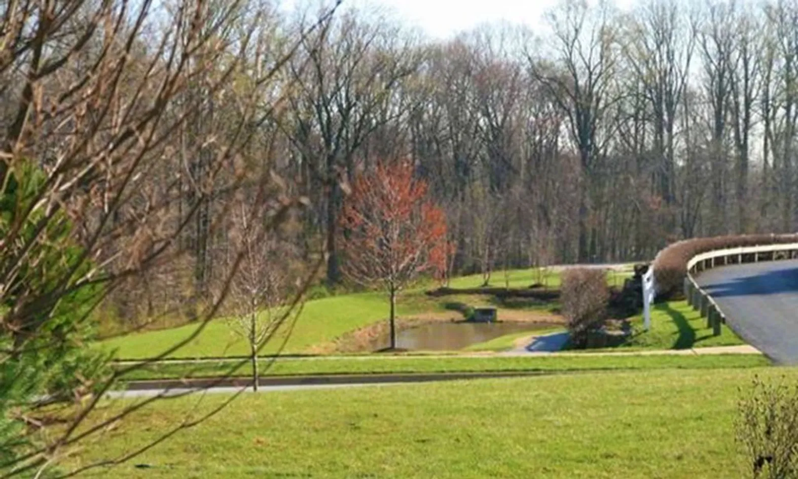 Scenic Pond