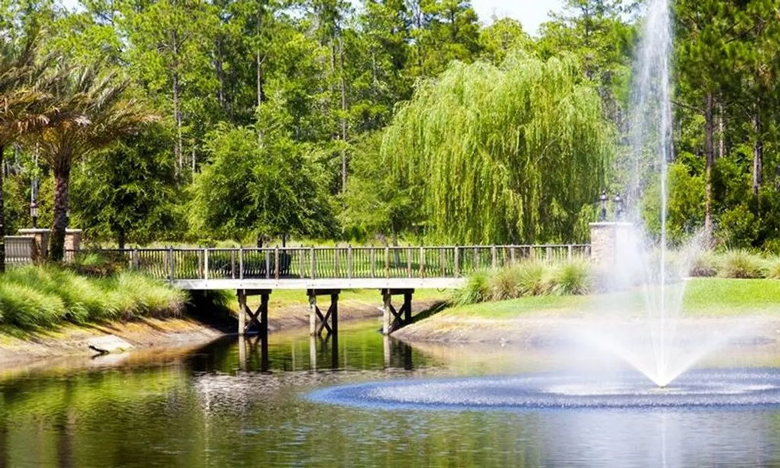 Scenic Ponds