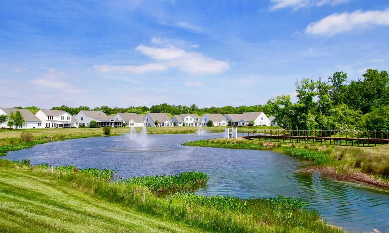 Scenic Ponds