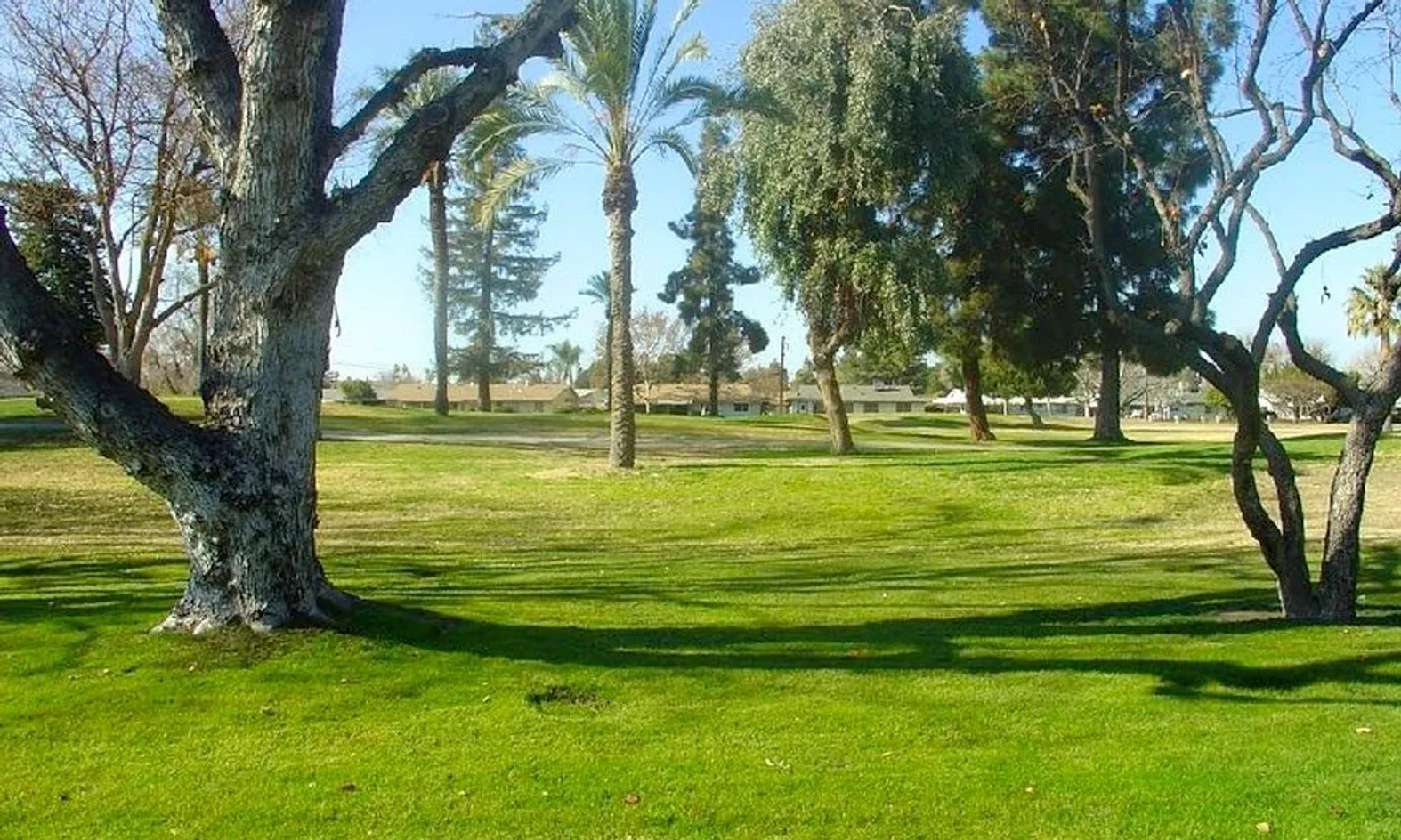 Scenic Neighborhood