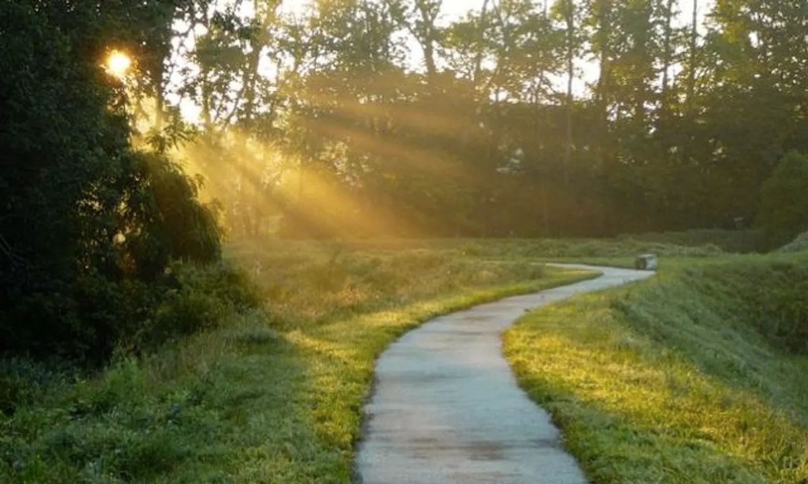 Walking & Biking Trails