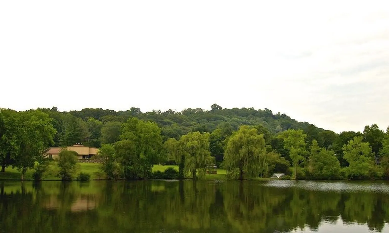 Scenic Ponds