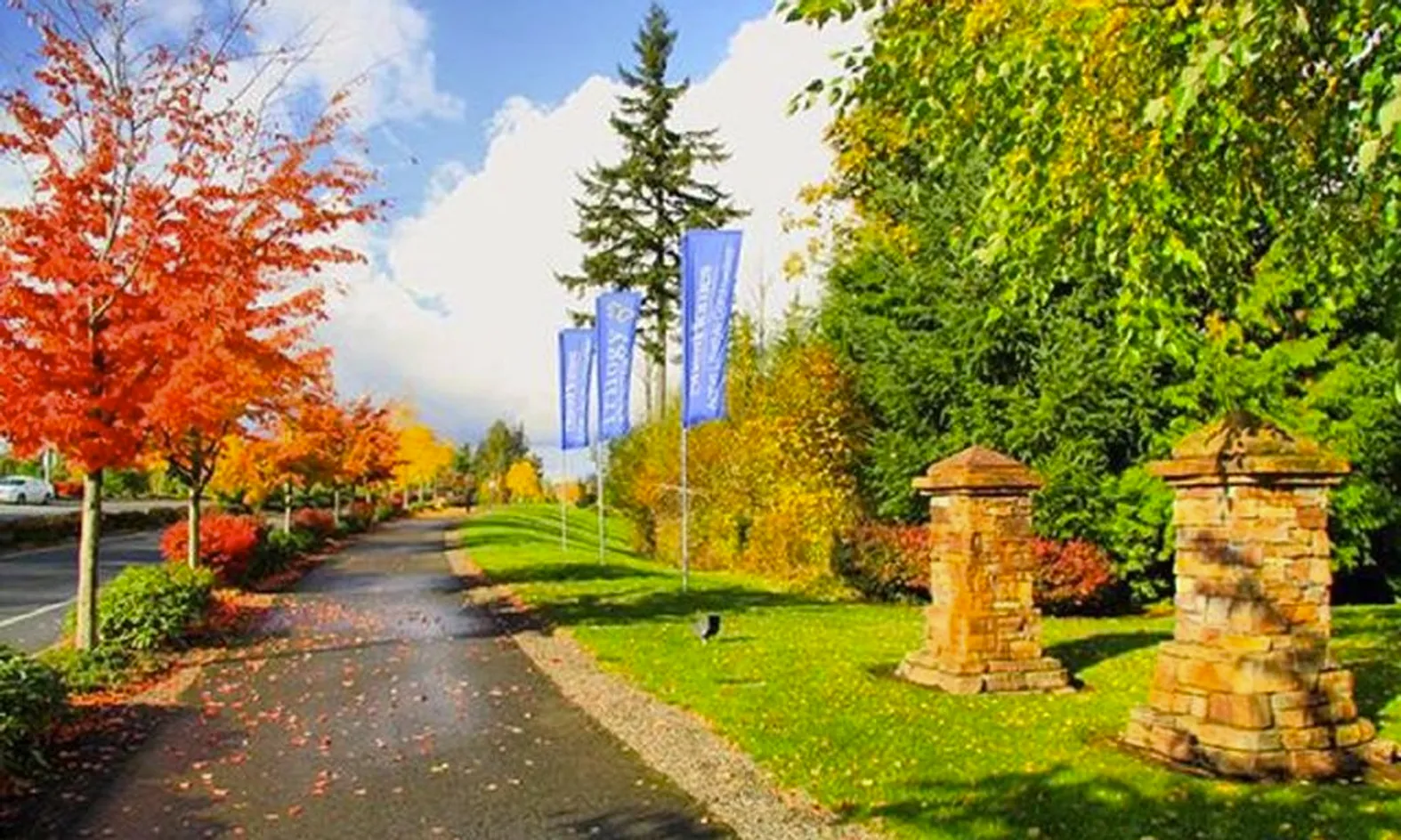 Inviting Landscape