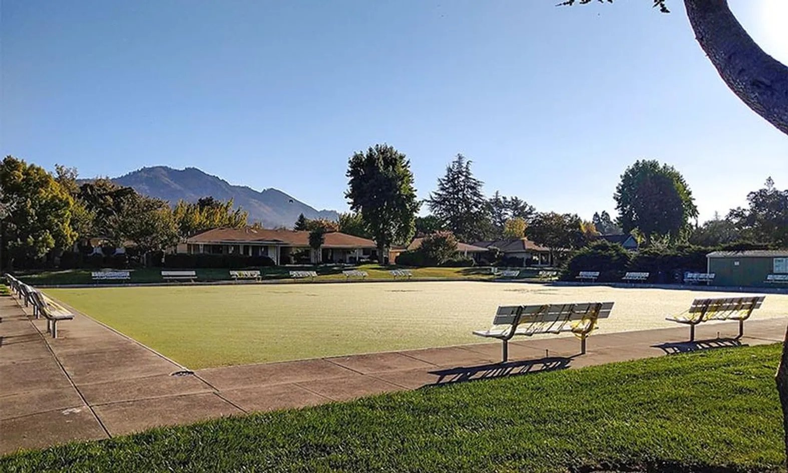 Lawn Bowling Court
