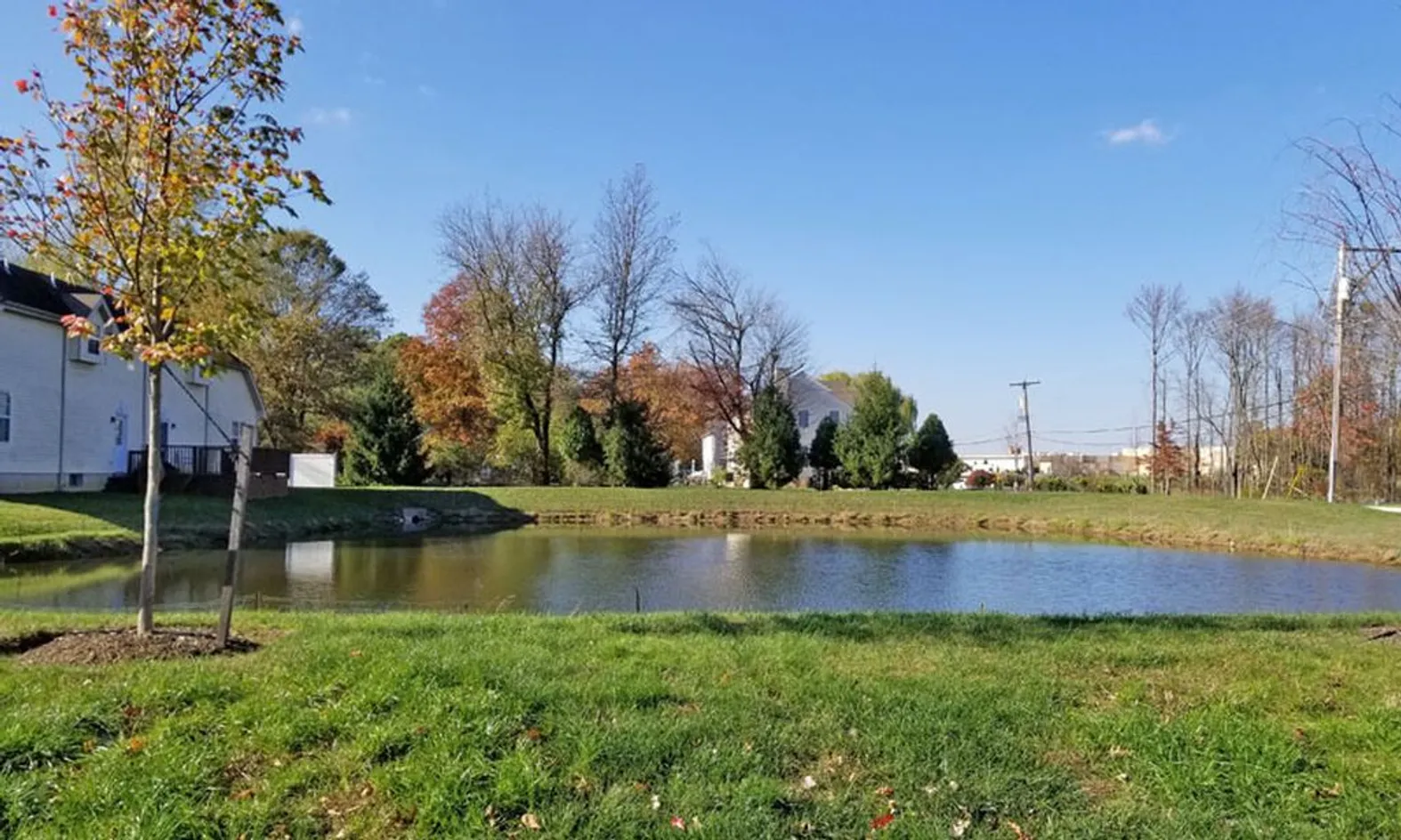 Community Pond