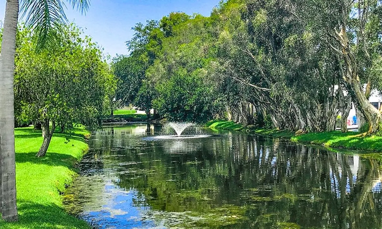 Water Features