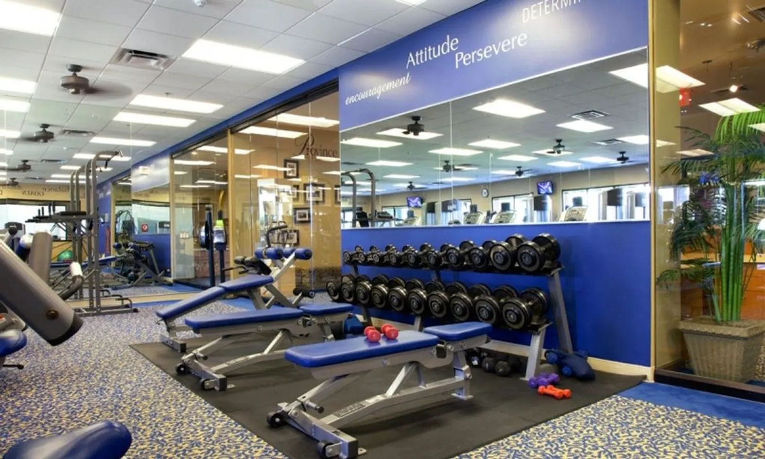 Weight Equipment