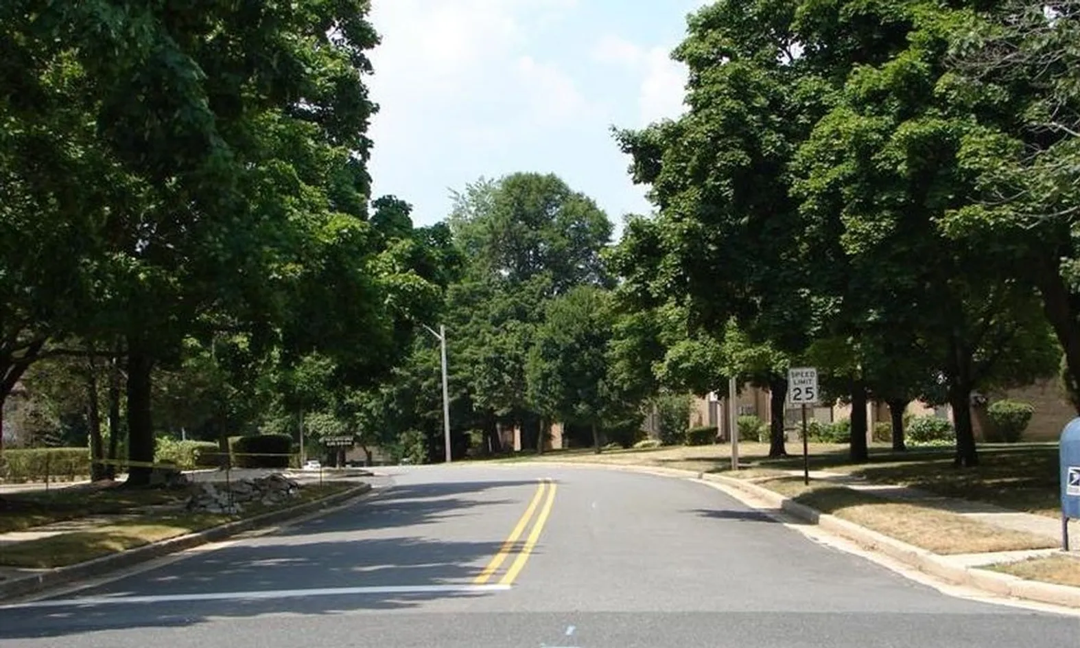 Tree-Lined Streets