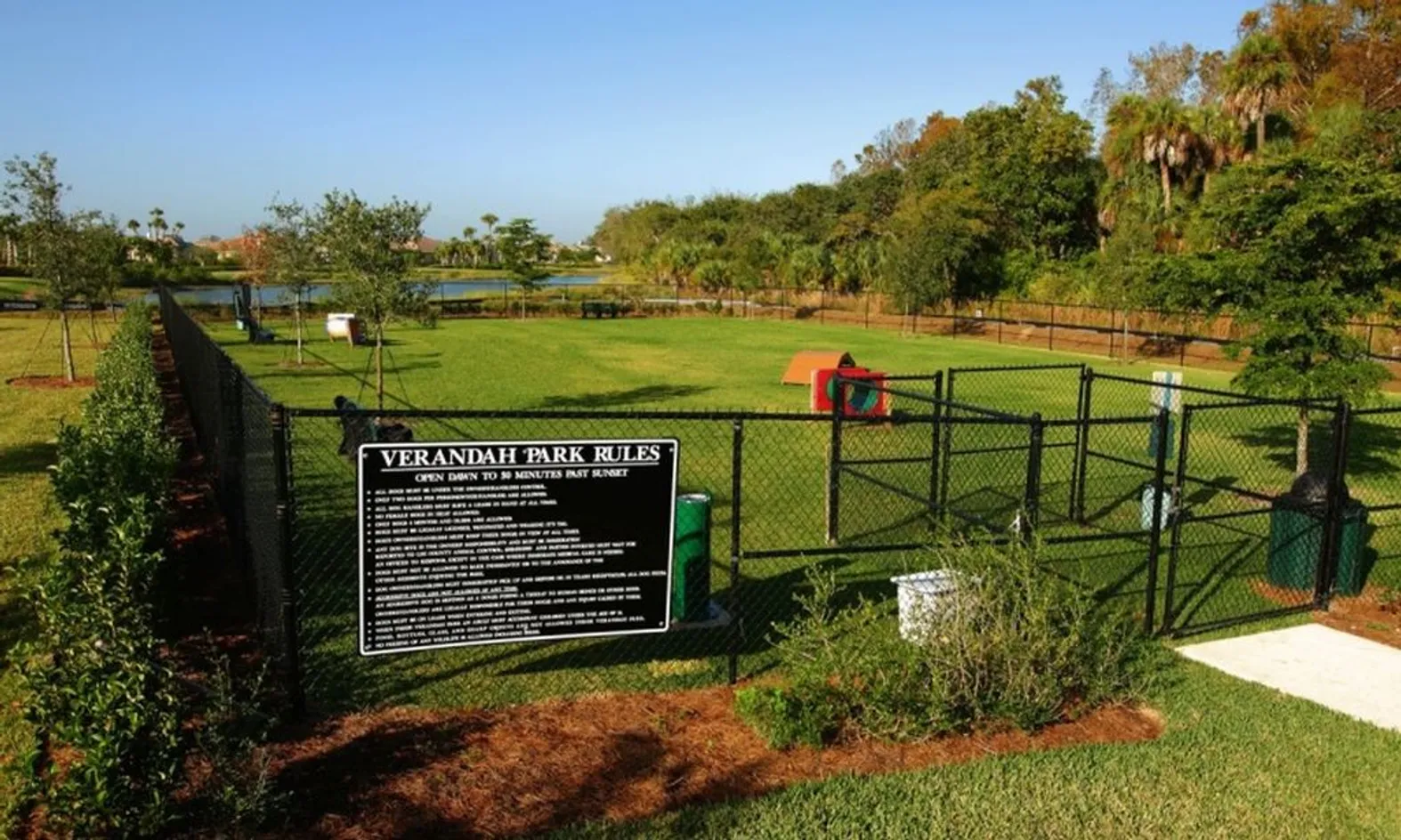 Dog Park