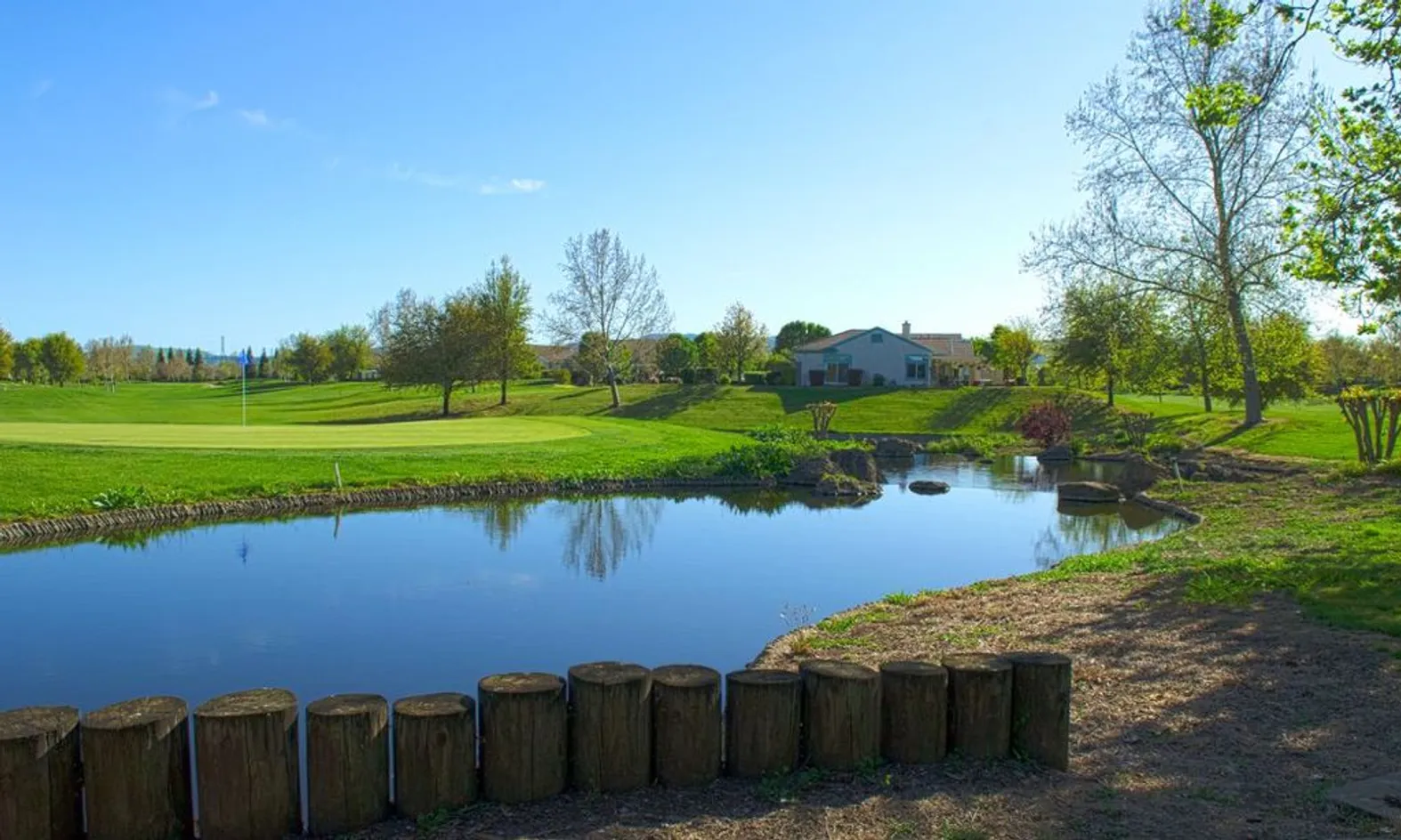 Scenic Ponds