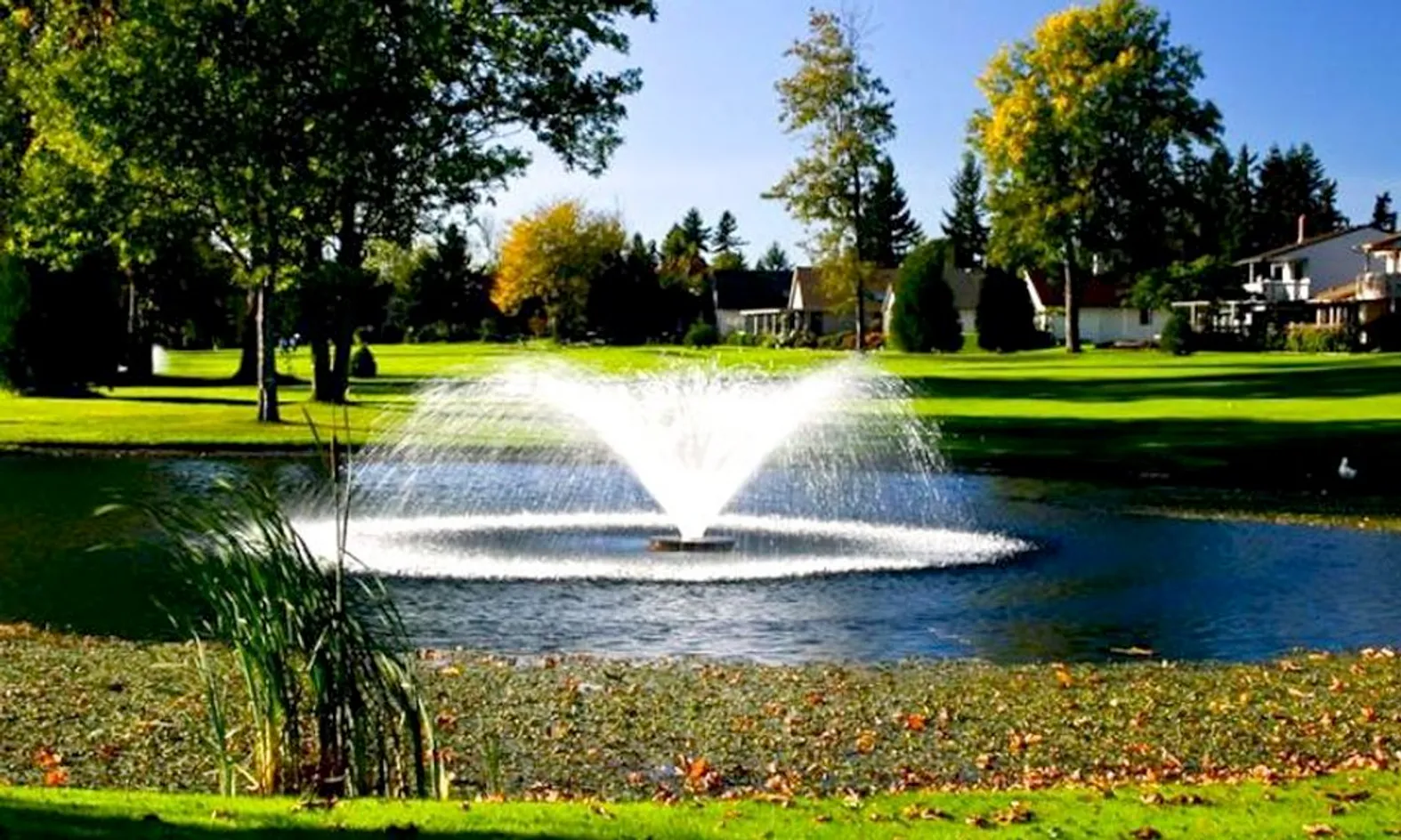 Scenic Ponds