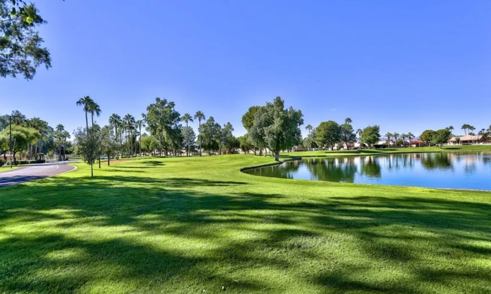 Scenic Ponds