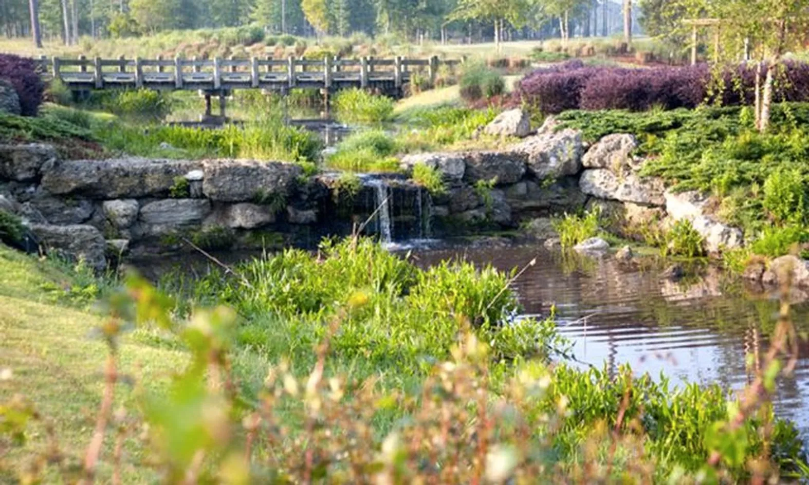 Nature Preserves
