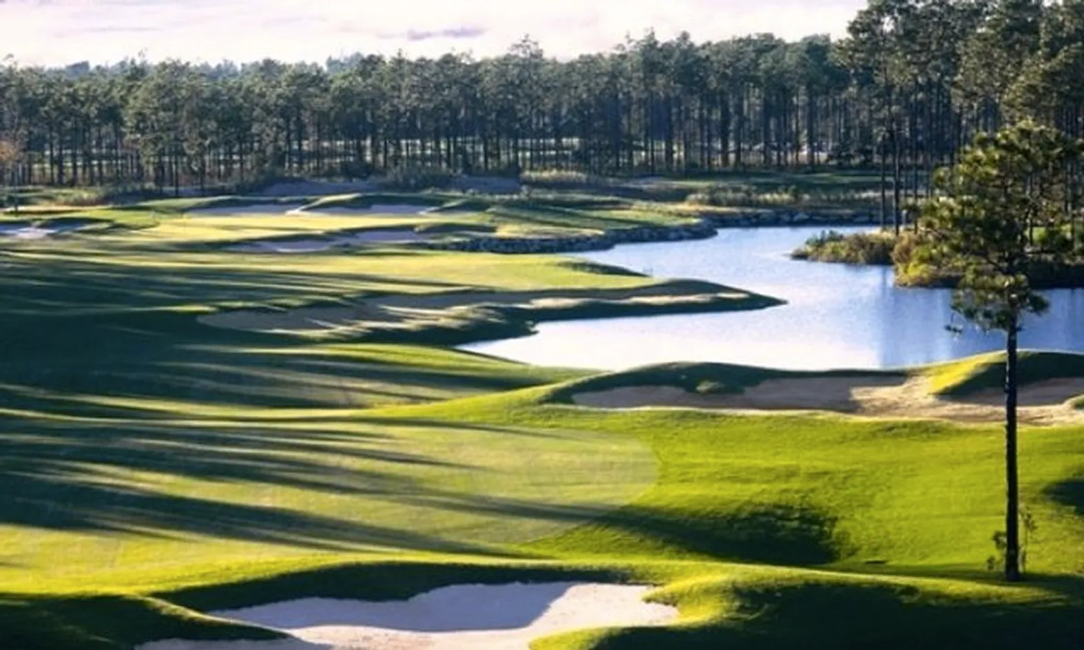 Big Cats Golf Courses - 4 Golf Courses