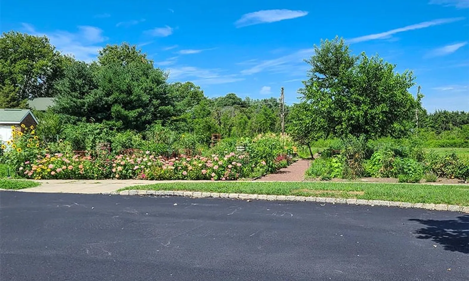 Community Garden