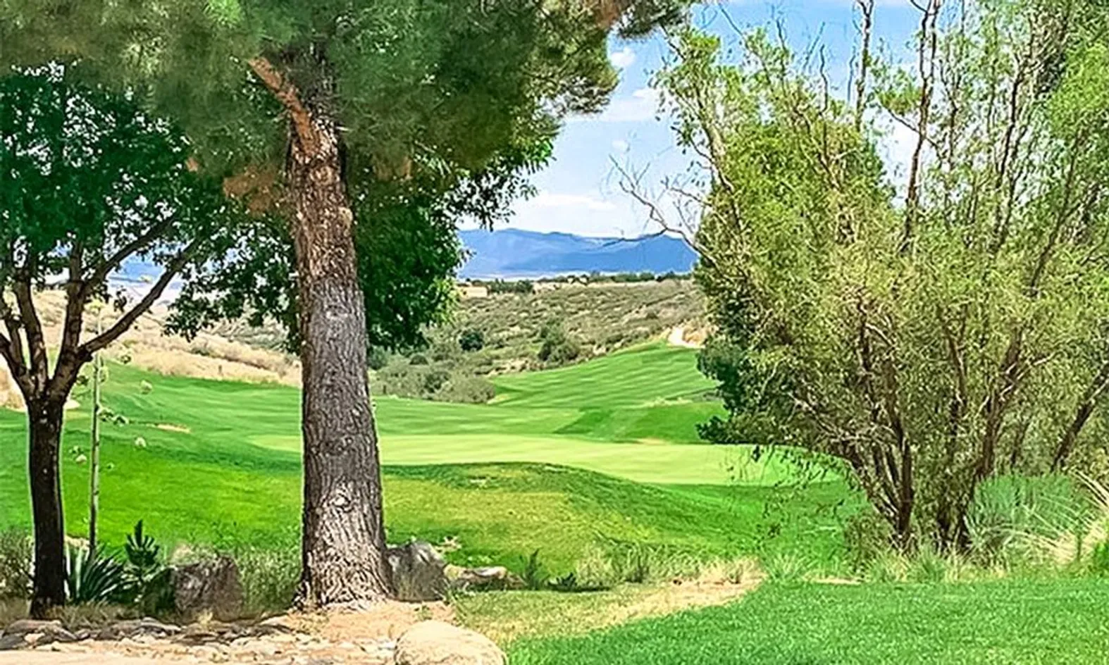 Lush Landscapes