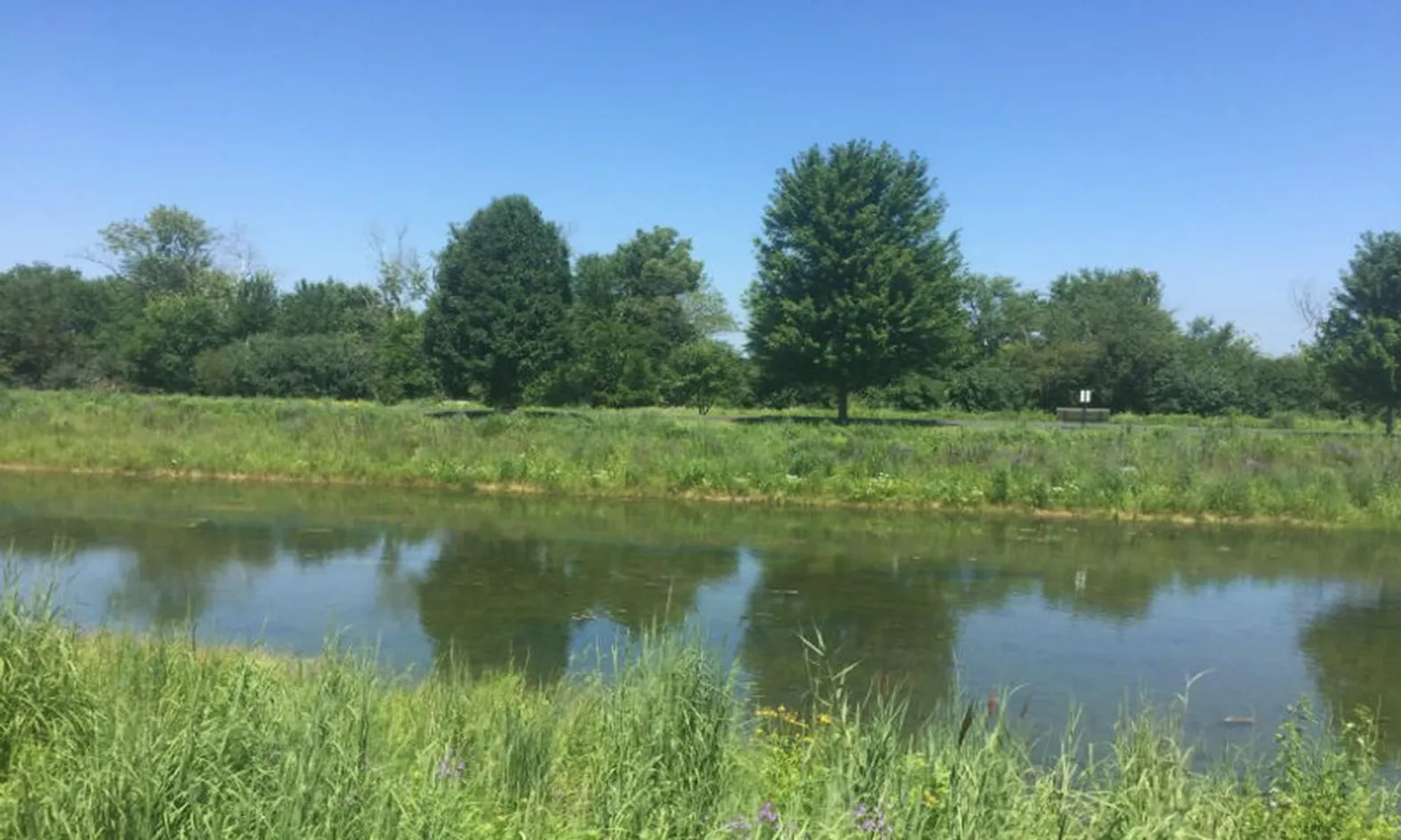 Scenic Pond
