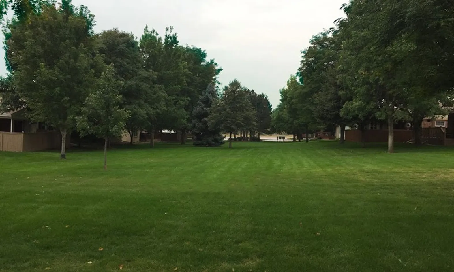 Parks & Natural Space