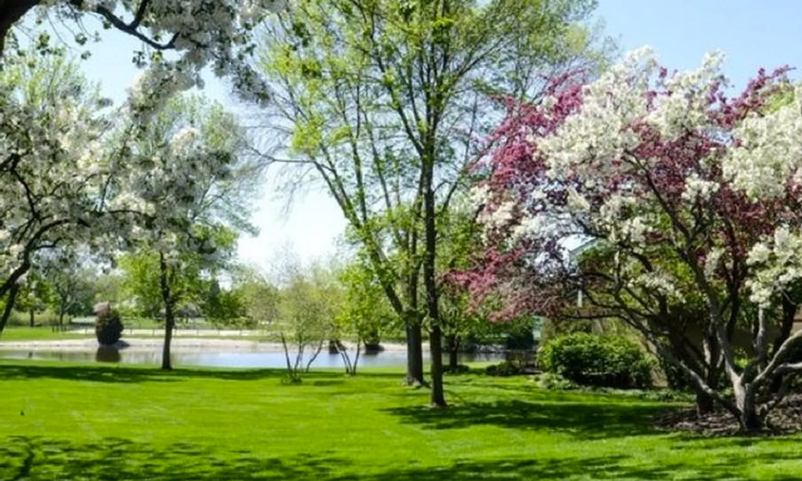 Lush Landscaping