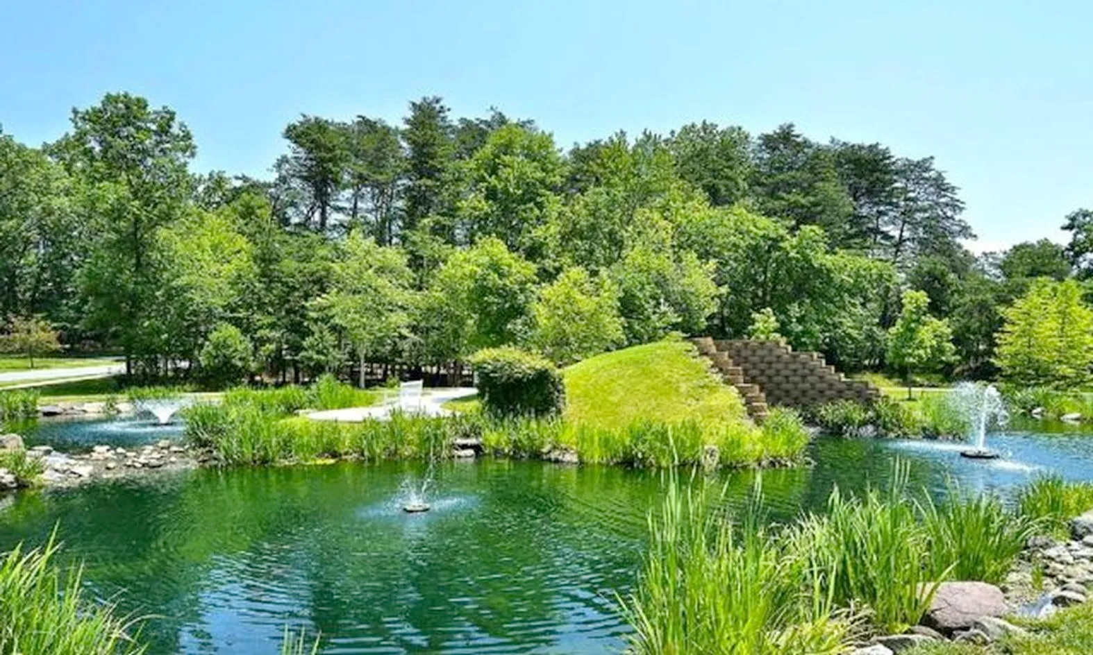Scenic Ponds