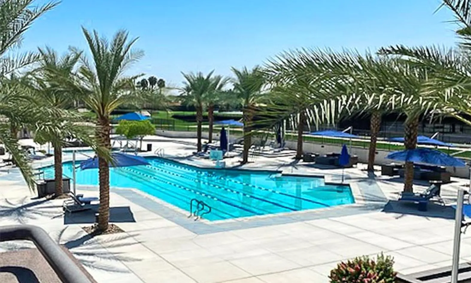Outdoor Lap Pool