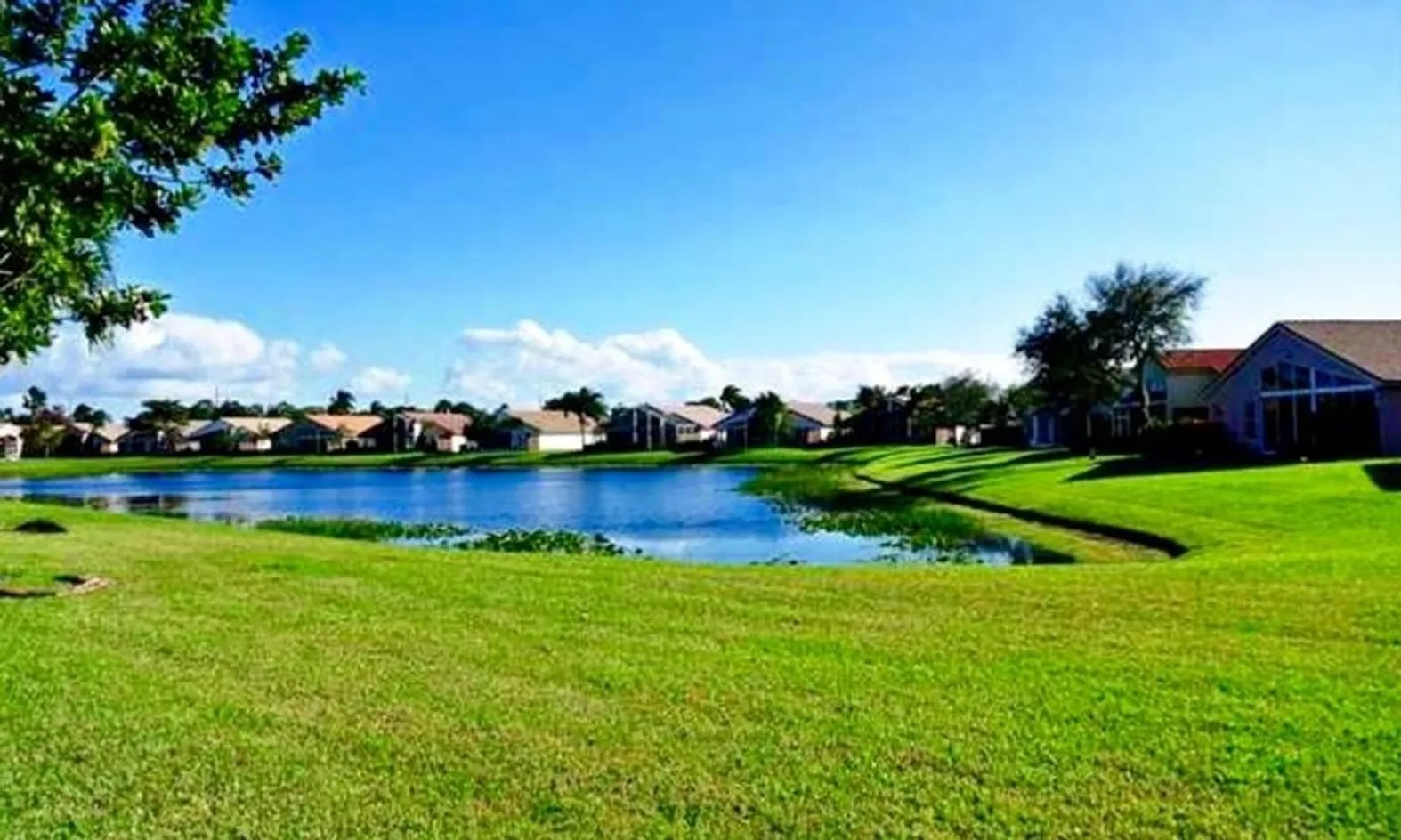 Scenic Ponds