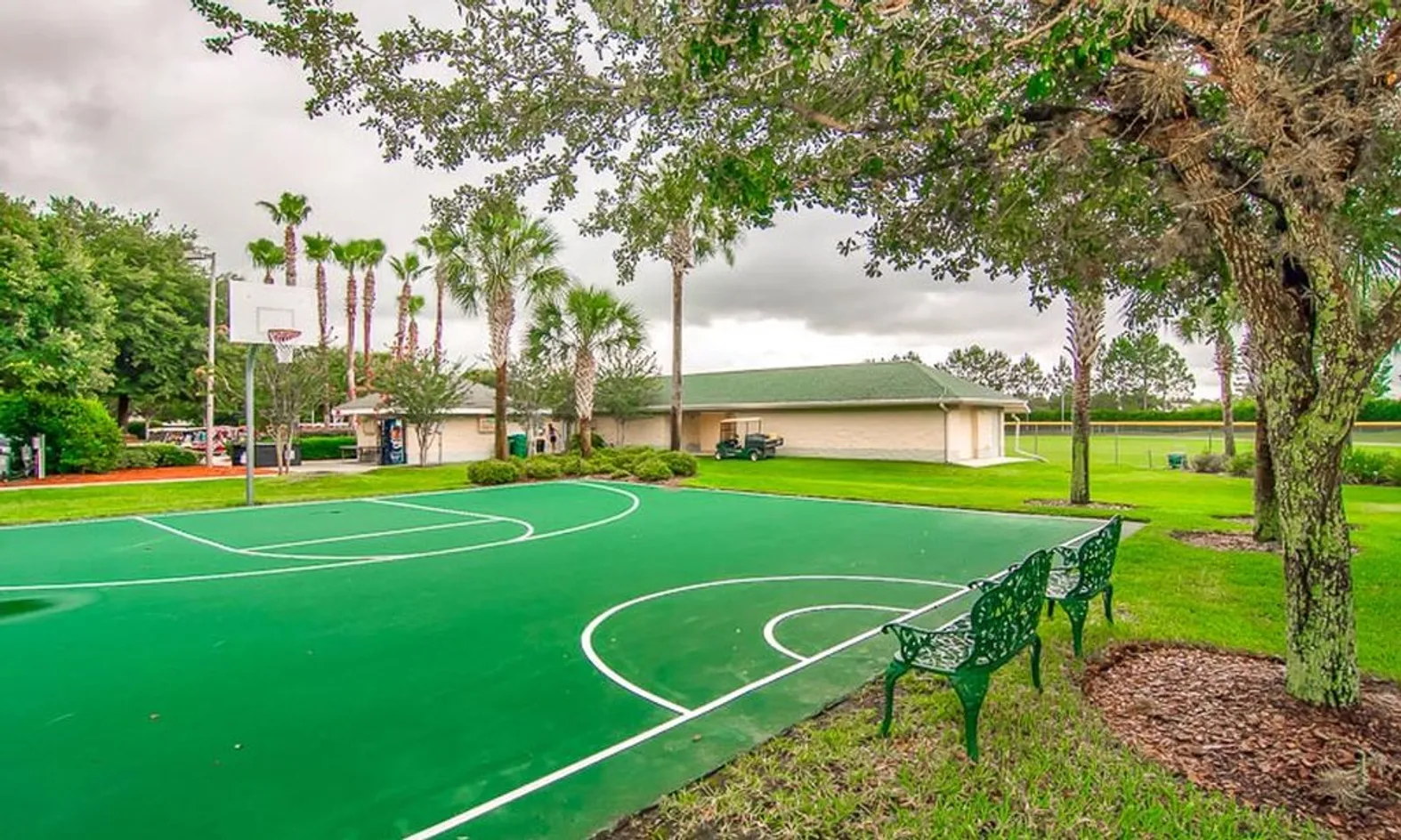 Basketball Court