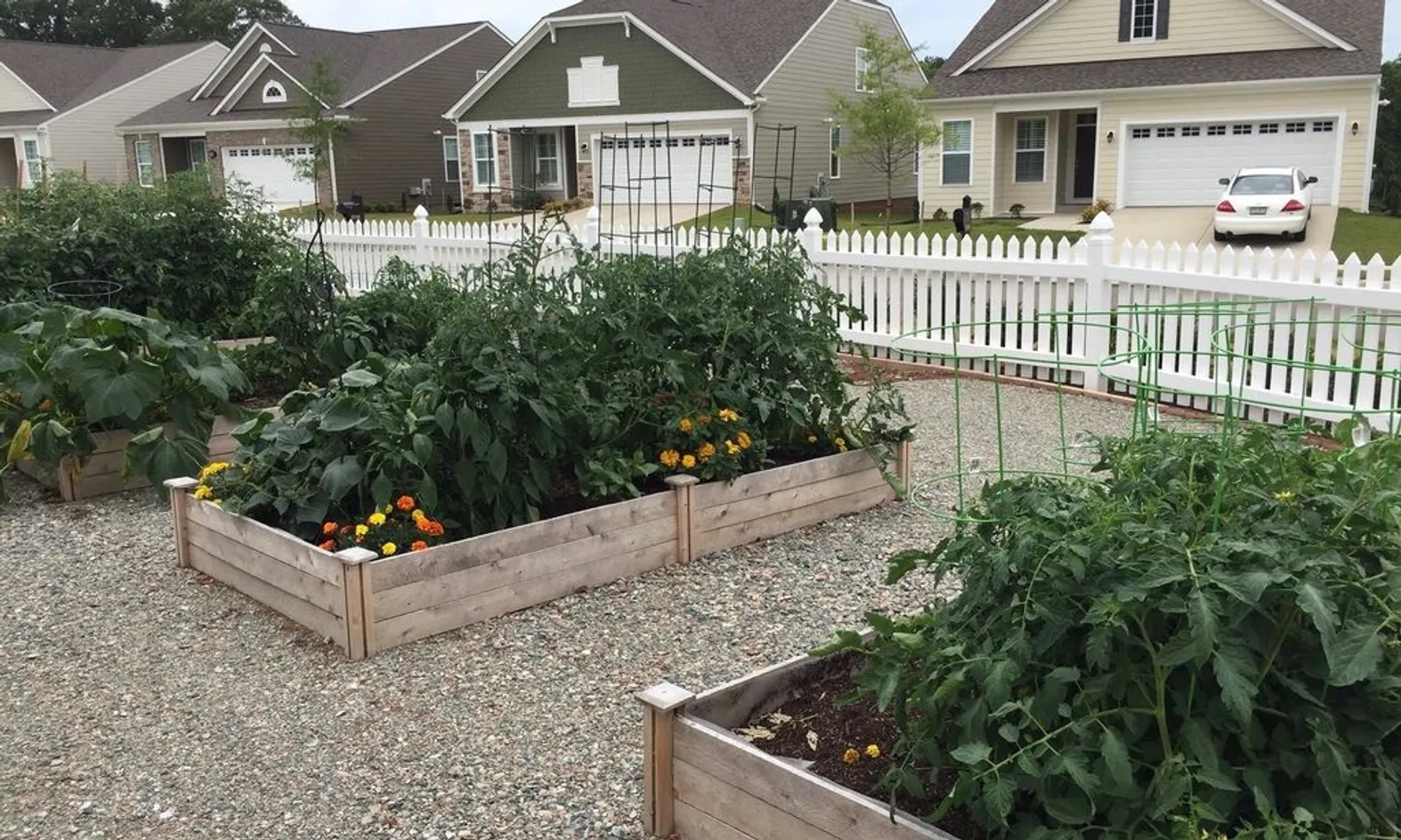 Garden Plots