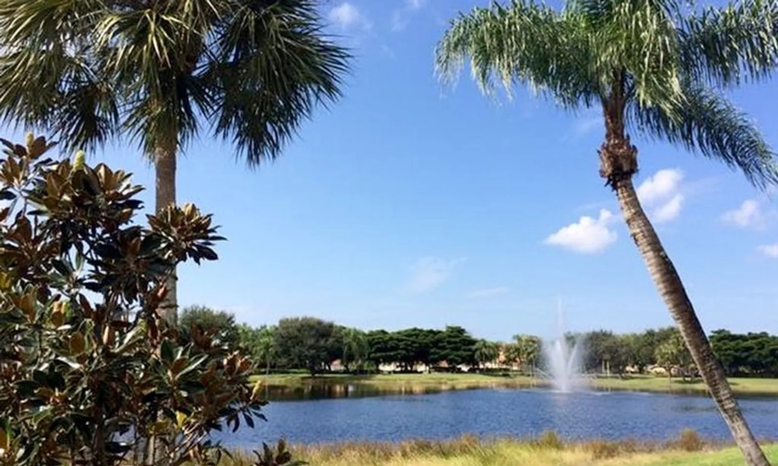 Scenic Lakes & Ponds