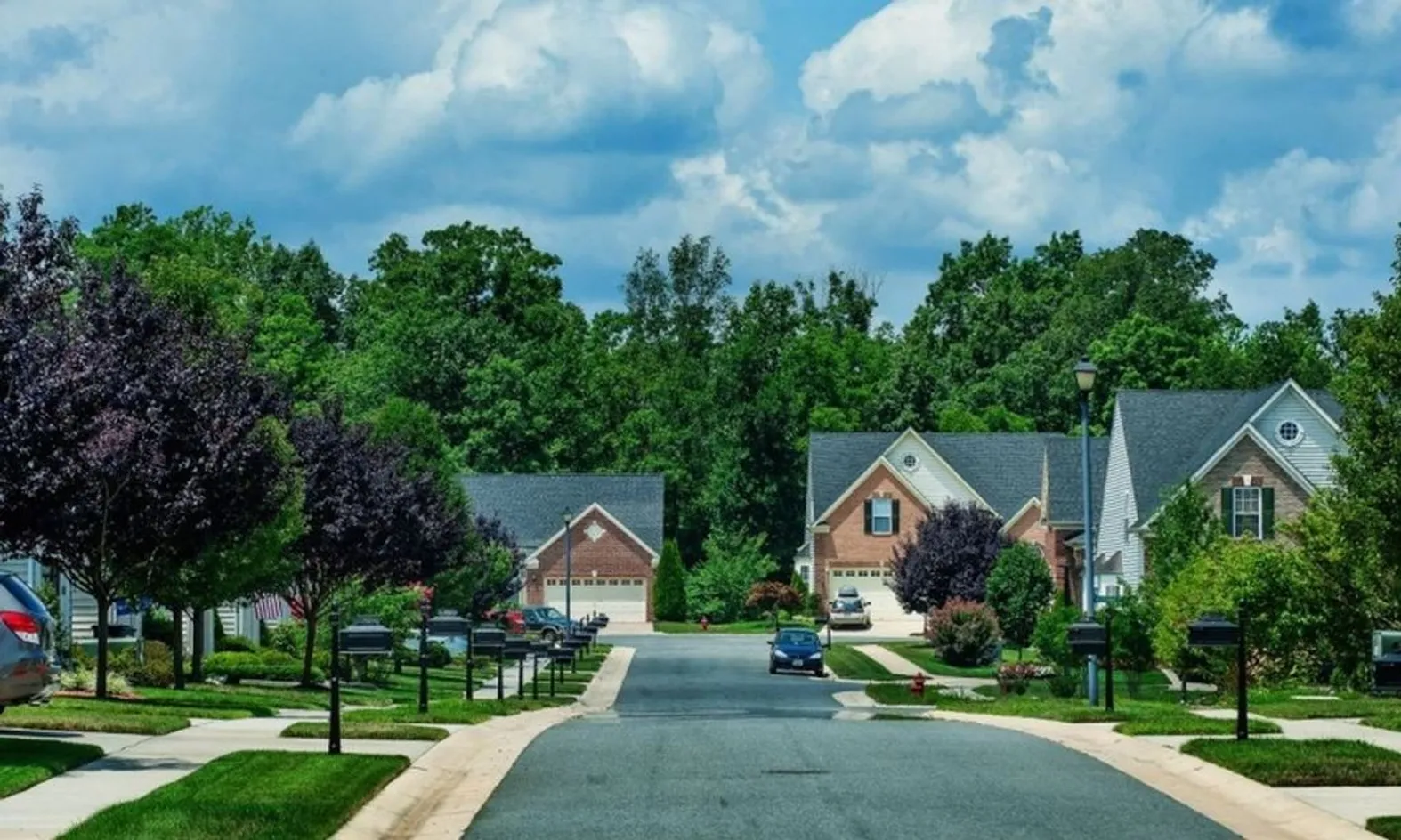 Mature Landscaping