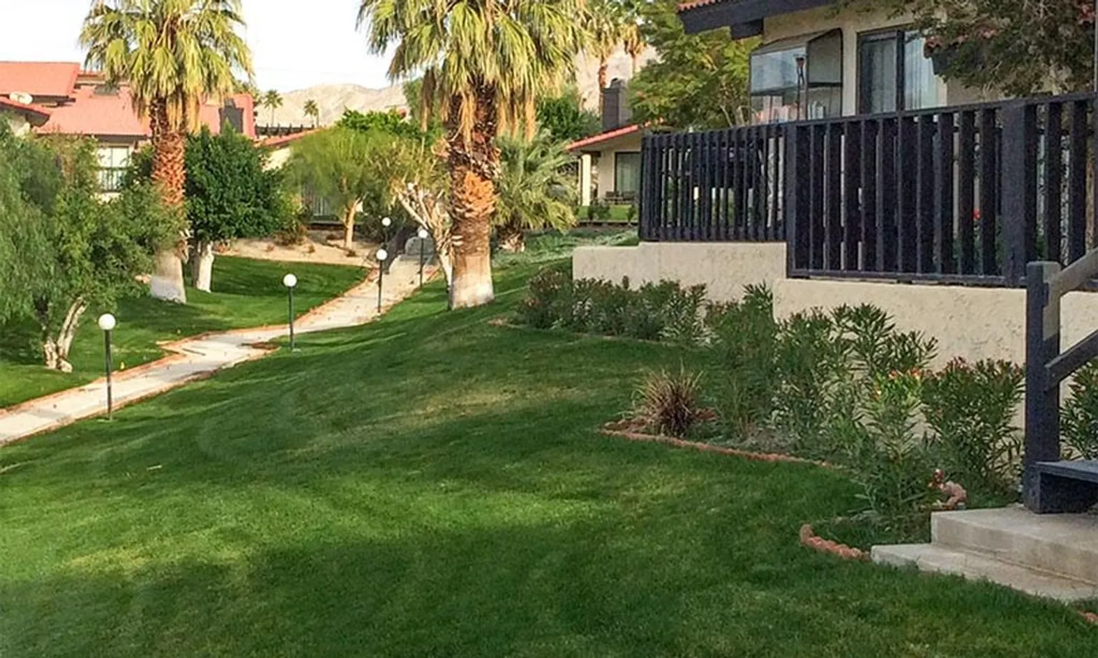 Lush Landscaping