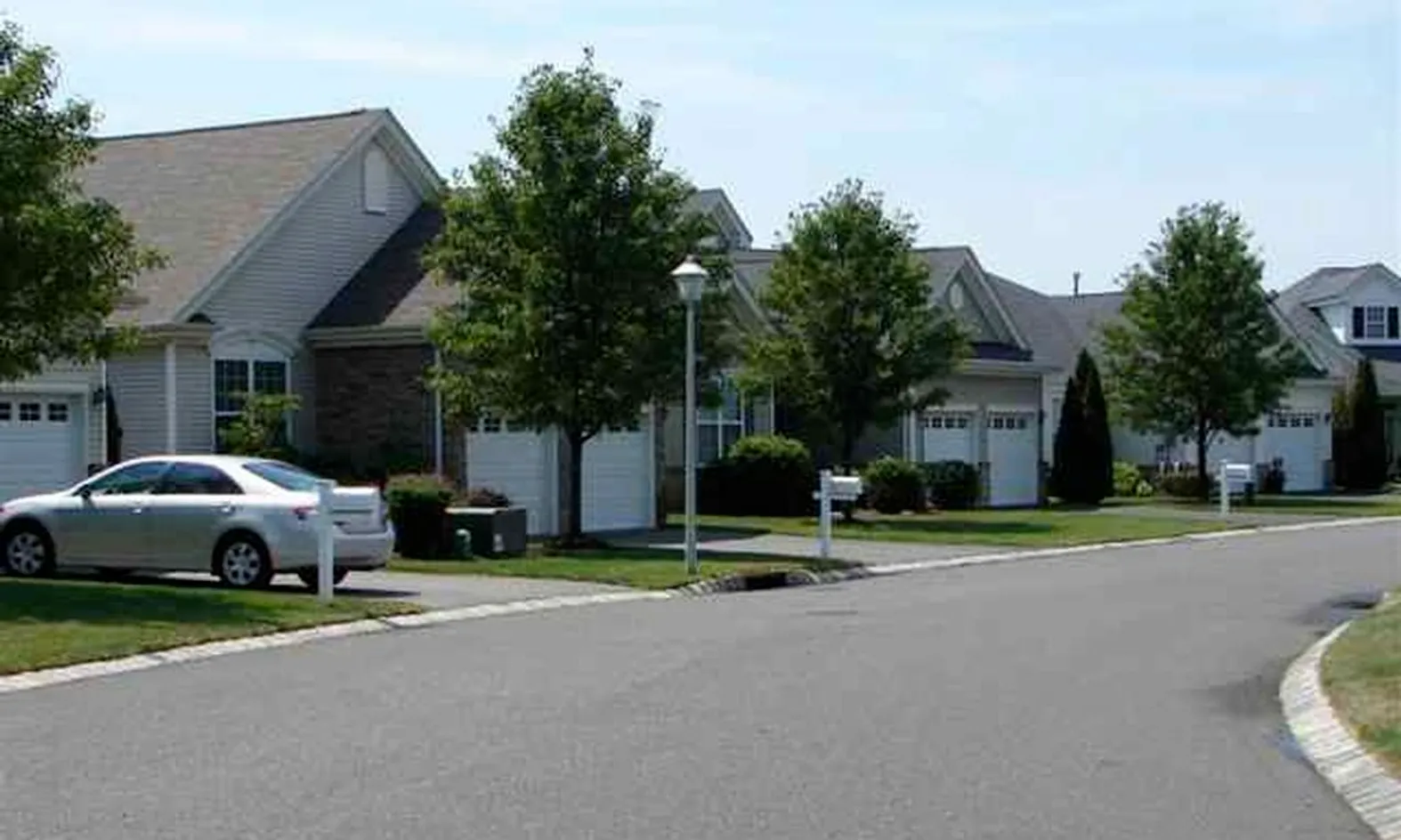 Tree-Lined Streets