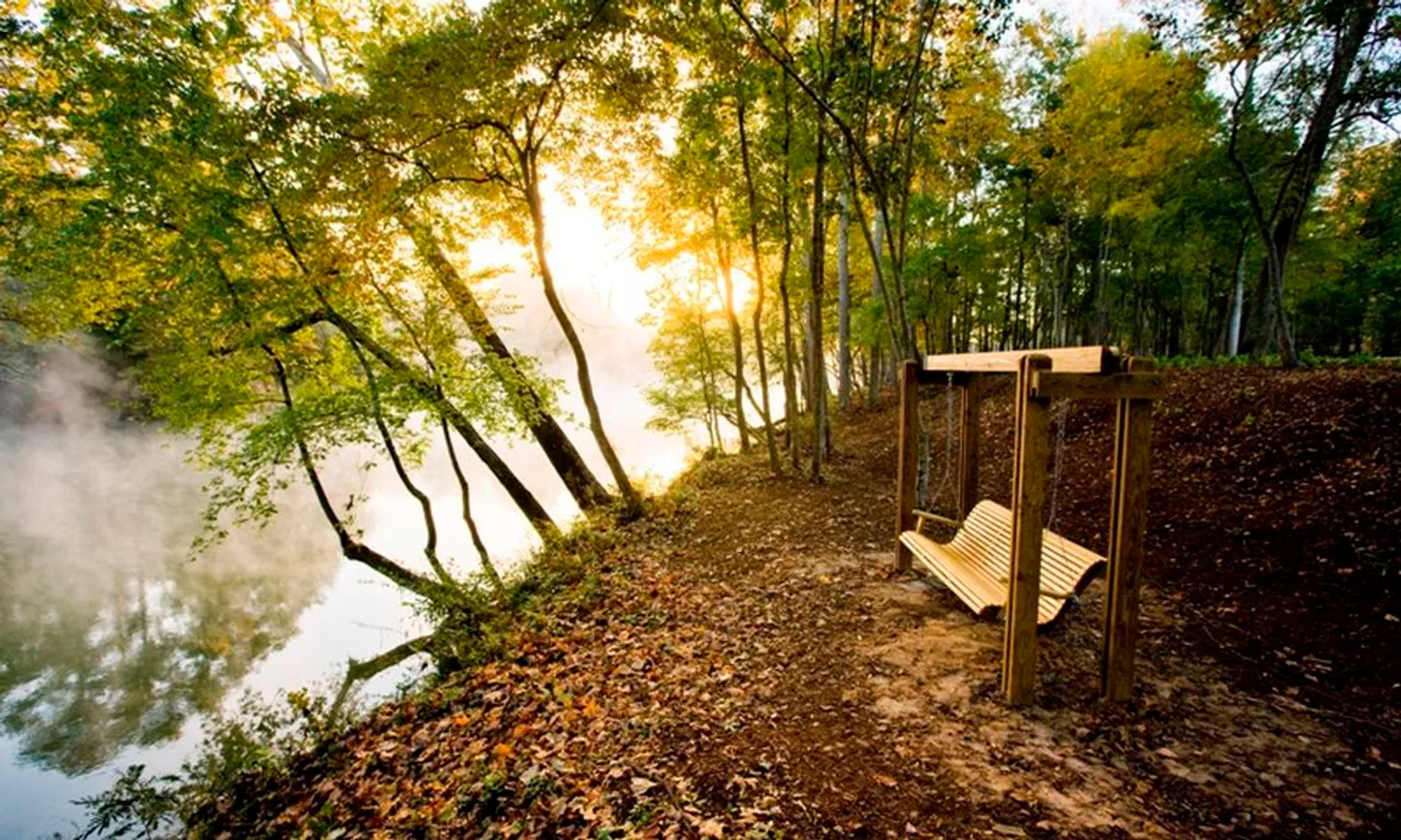 River Swings