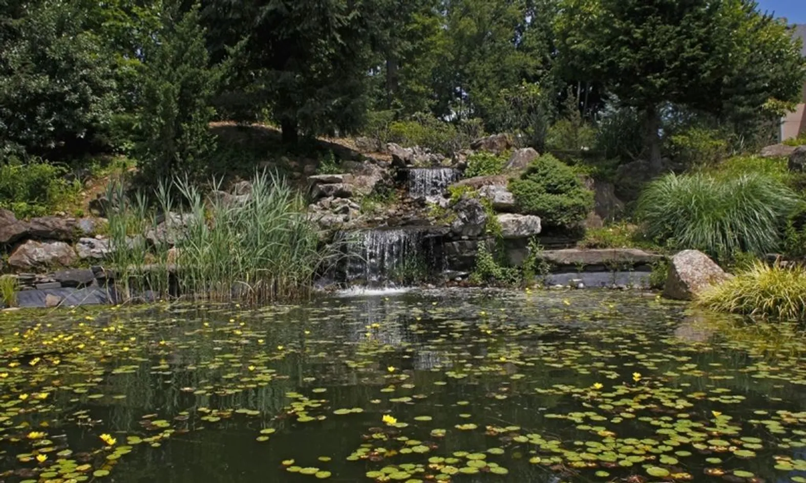 Scenic Ponds