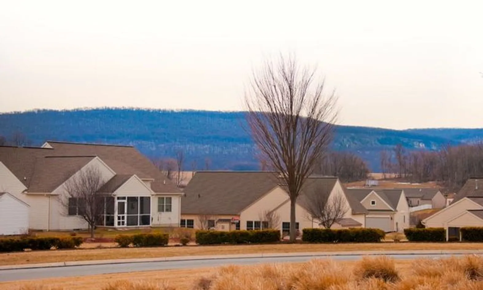 Low-Maintenance Homes