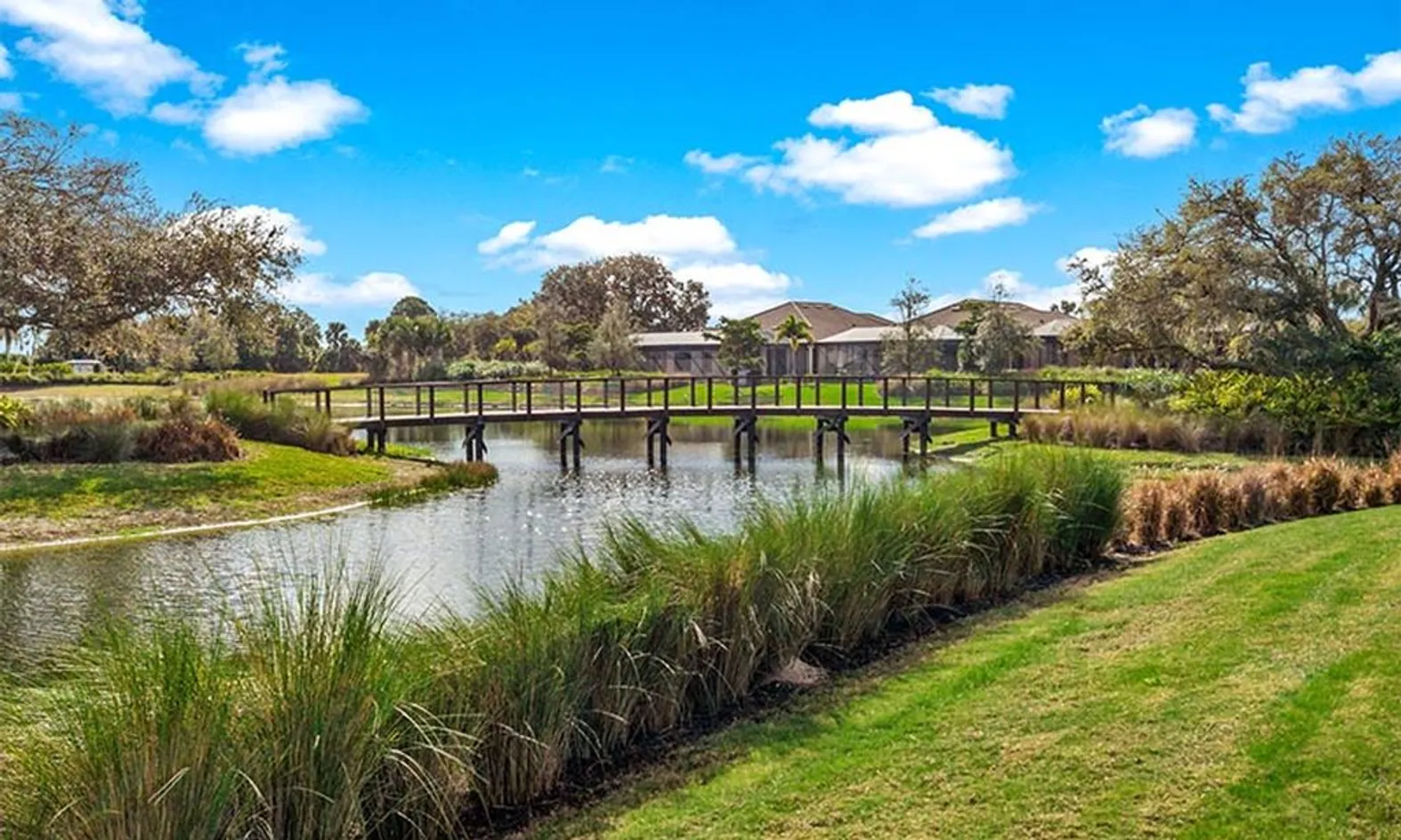 Scenic Ponds