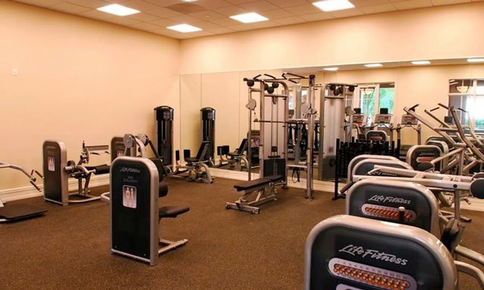 Weight Machines