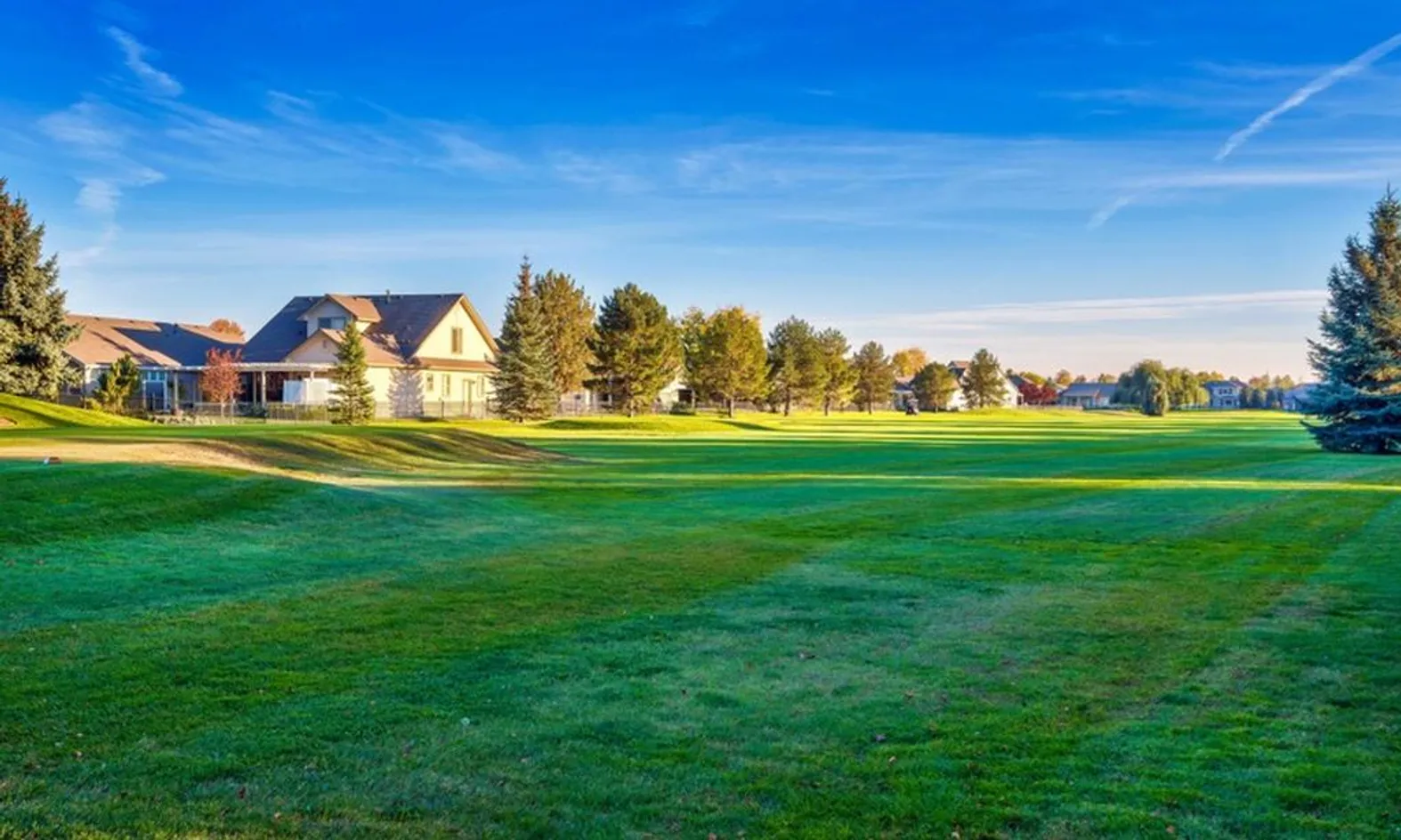 Manicured Lawns