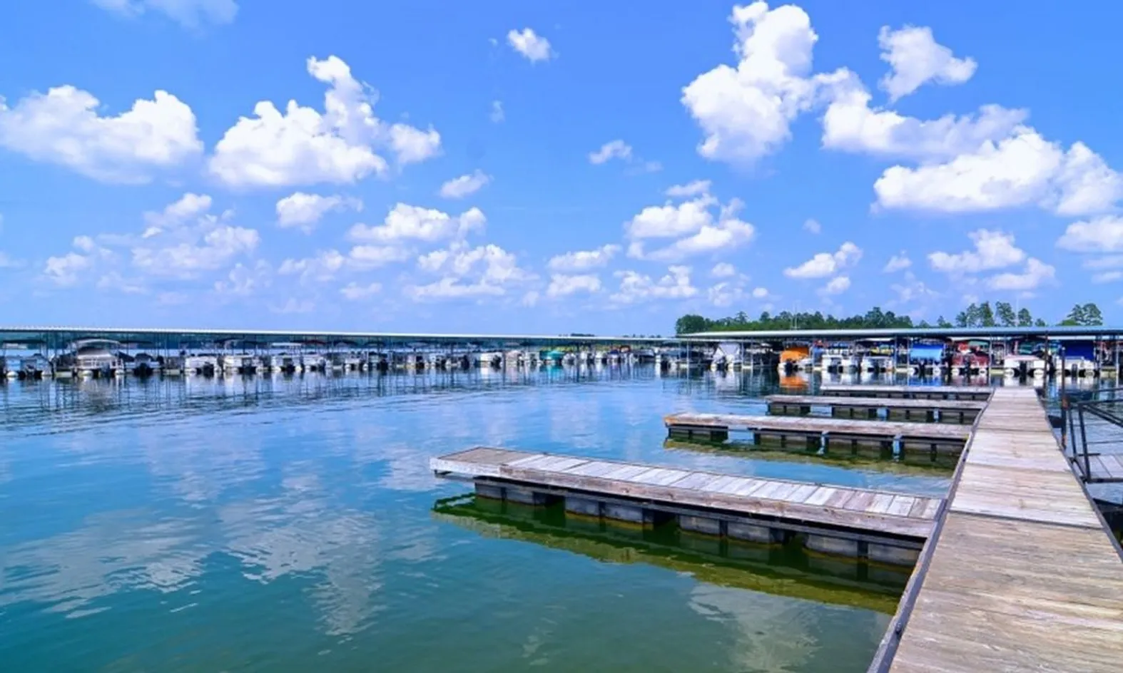 Balboa Marina