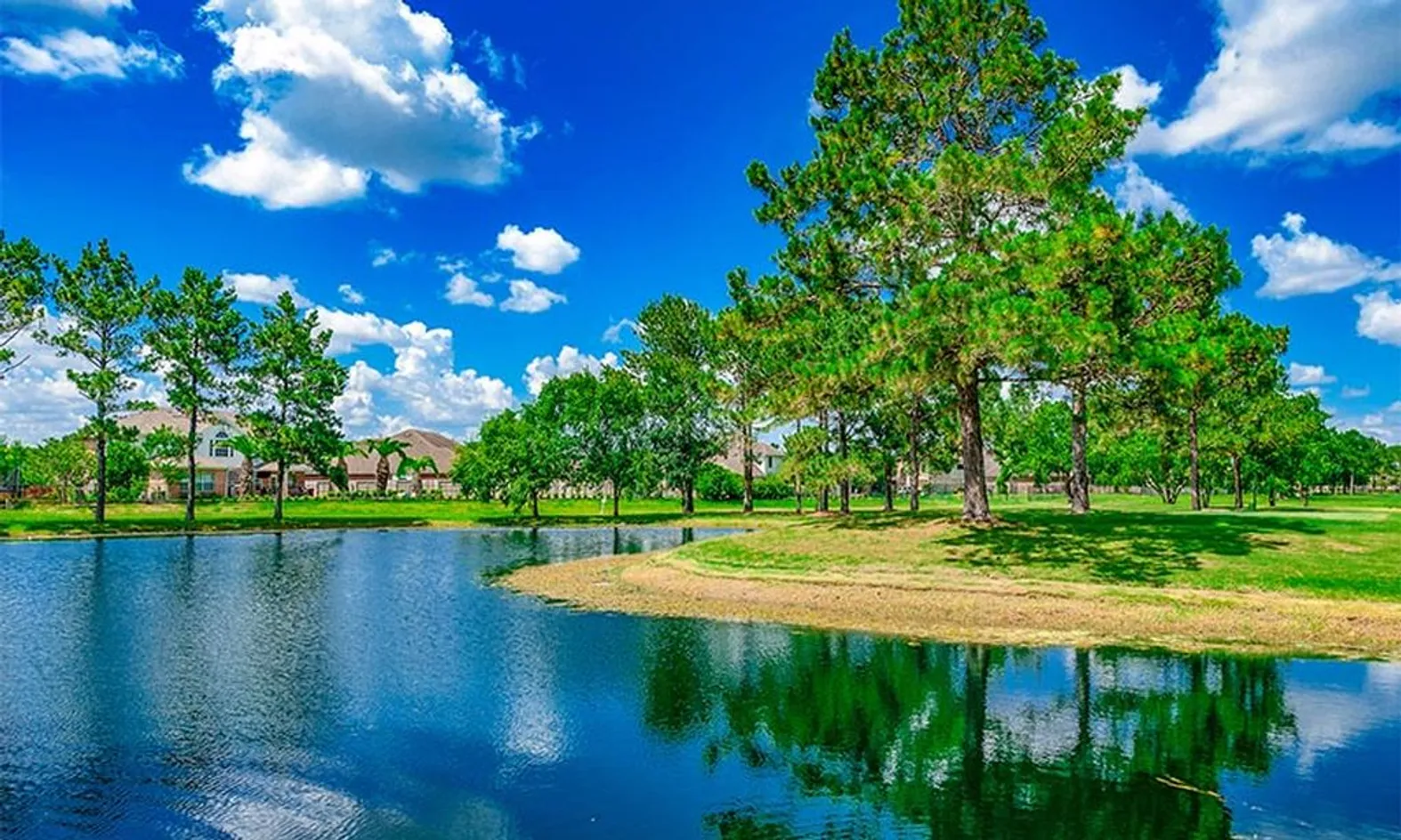 Scenic Pond