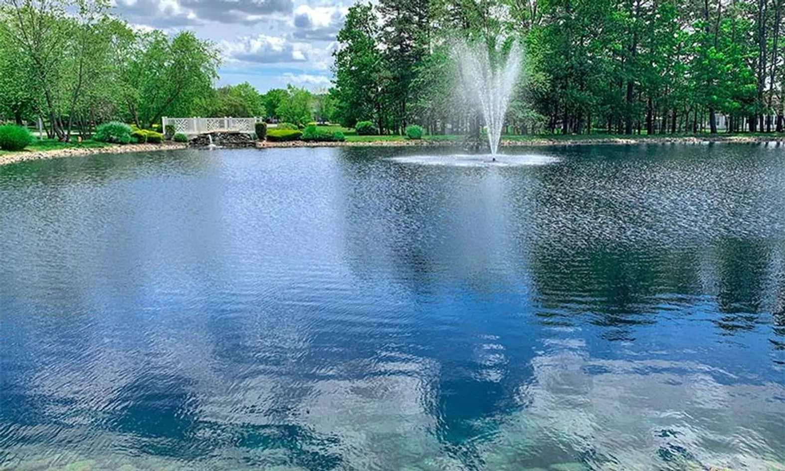 Scenic Ponds