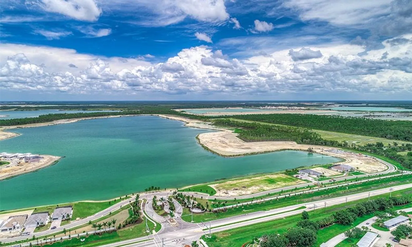 Wild Blue - Estero FL