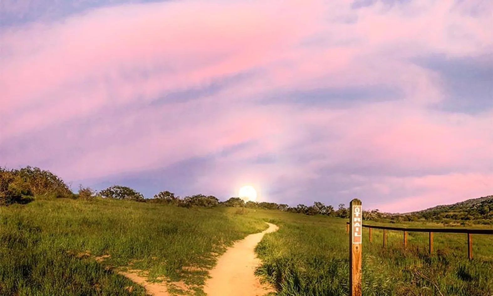 Walking & Biking Trails