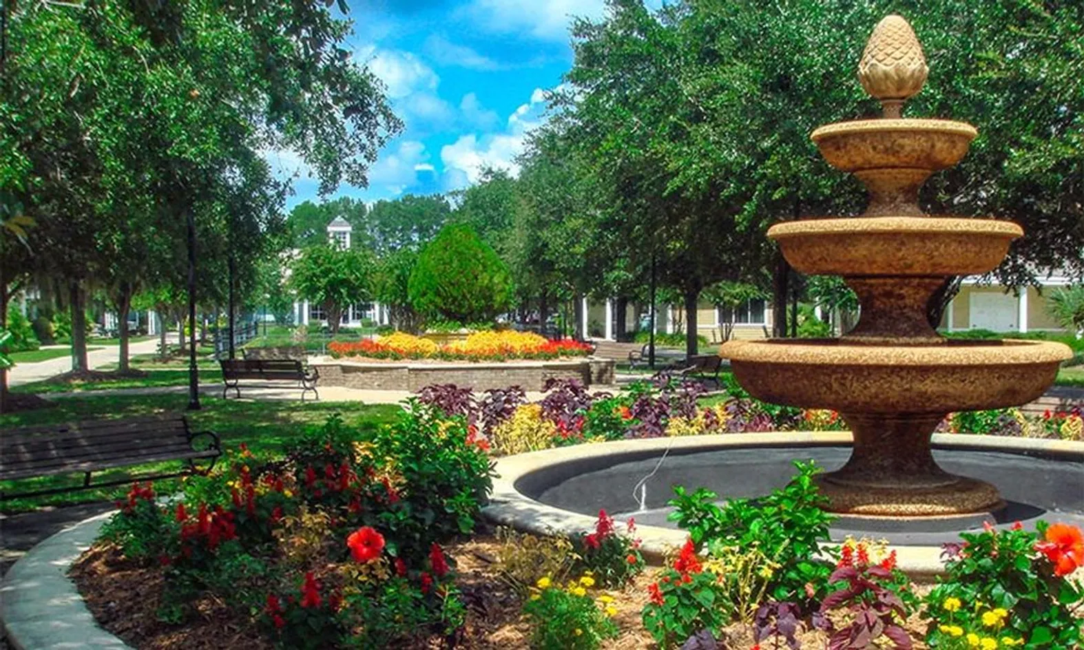 Lush Greenspace