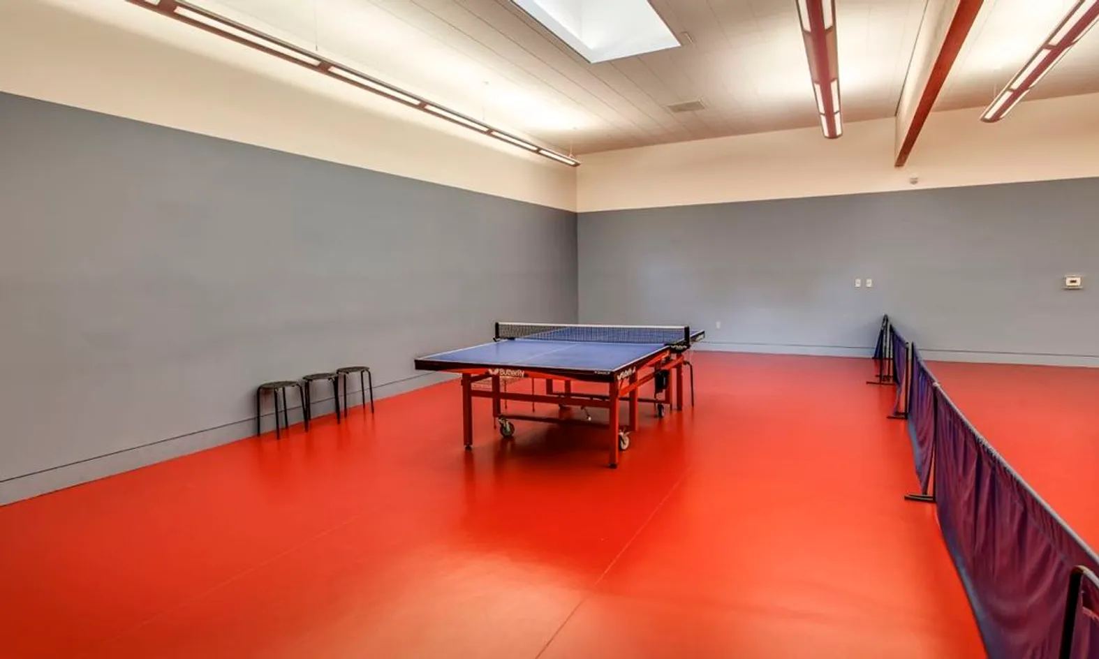 Table Tennis