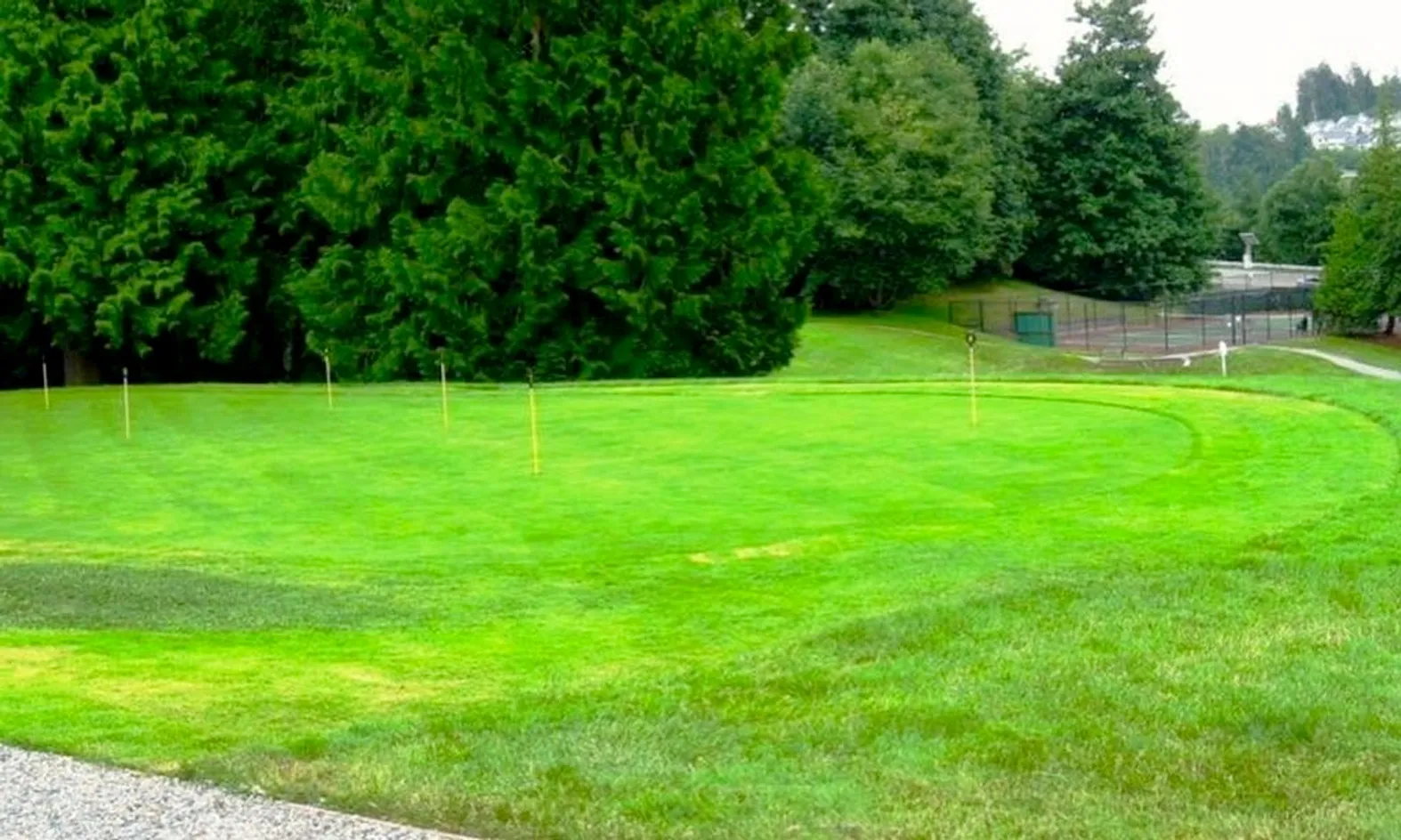 Putting Green